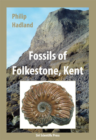 Fossils of Folkestone, Kent