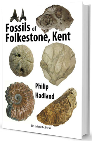 Fossils of Folkestone