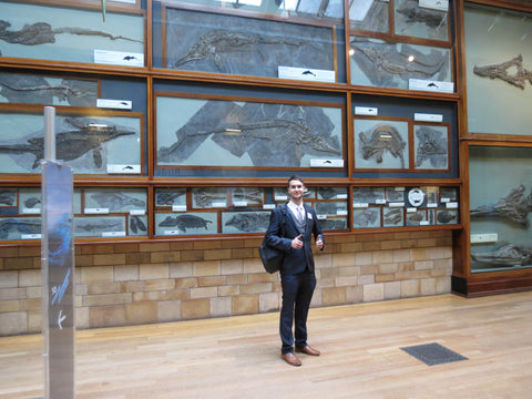 Dean Lomax Ichthyosaur gallery NHM
