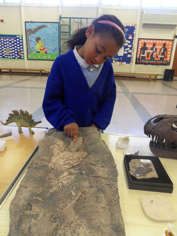 trace fossils school outreach