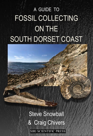 A guide to fossil collecting on the south dorset coast