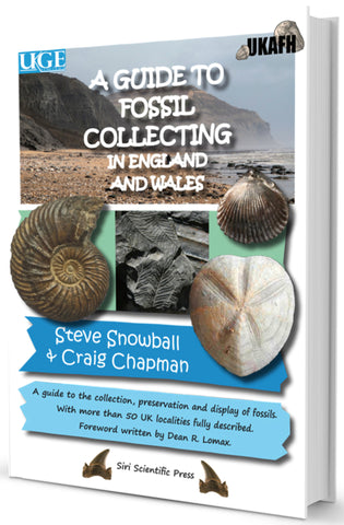 Fossil collecting in England and Wales