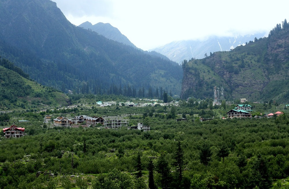 Green Mountains - Manali - travel Journal - Woodgeek Store 