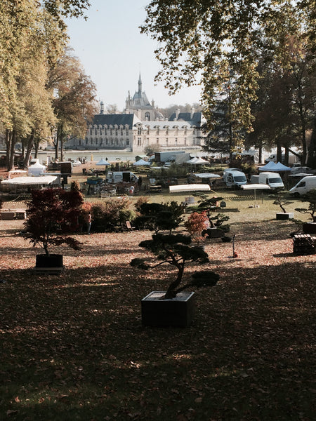 Bradleys the tannery  at Chantilly