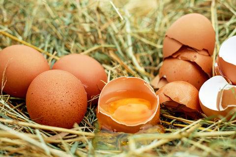 Why Does My Car Smell Like Rotten Eggs? (5 Reasons!)