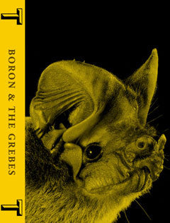 Boron & The Grebes - 2