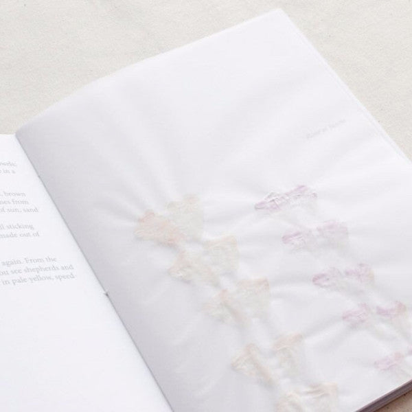 Rose et Jaune, Books and Zines by Rose et Jaune Tappan