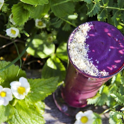 Blueberry Hempster Superfood Smoothie with Homemade Cashew Milk