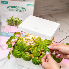 Hydroponic Grow Kit