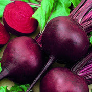 Beets - 'Detroit Dark Red'