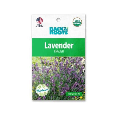 Lavender - 'English'