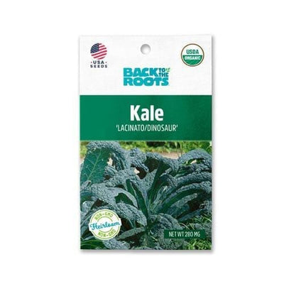 Kale - 'Lacinato'