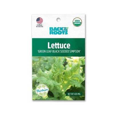 Lettuce - 'Green Leaf Black Seeded Simpson'