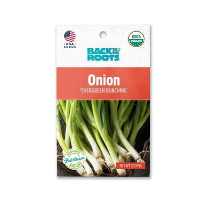 Onion - 'Evergreen Bunching'
