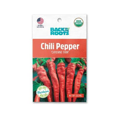 Chili Pepper - 'Cayenne Thin'