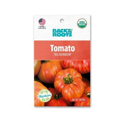 Tomato - 'Big Rainbow'