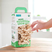 Organic Mushroom Grow Kit, Bulk 4-Pack (SAVE 20%)