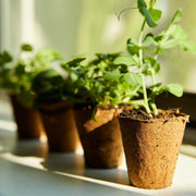 Organic & Plantable Seed Starting Pots (24 ct)