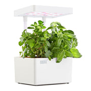 Hydroponic Grow Kit