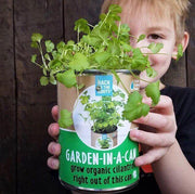 The Indoor Gardening Essentials - Herb, Veggies and Mushrooms 6-Plant Bundle (Save $20)