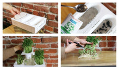 Water Garden Compostable Refill Kits - Back to the Roots