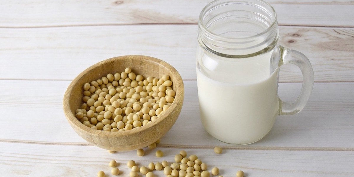 soy protein vegan plant based milk