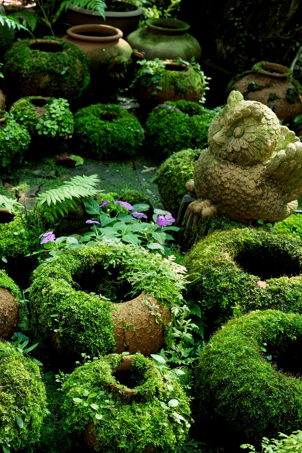 Make DIY Moss Covered Pots and Garden Figurines with Living Paint