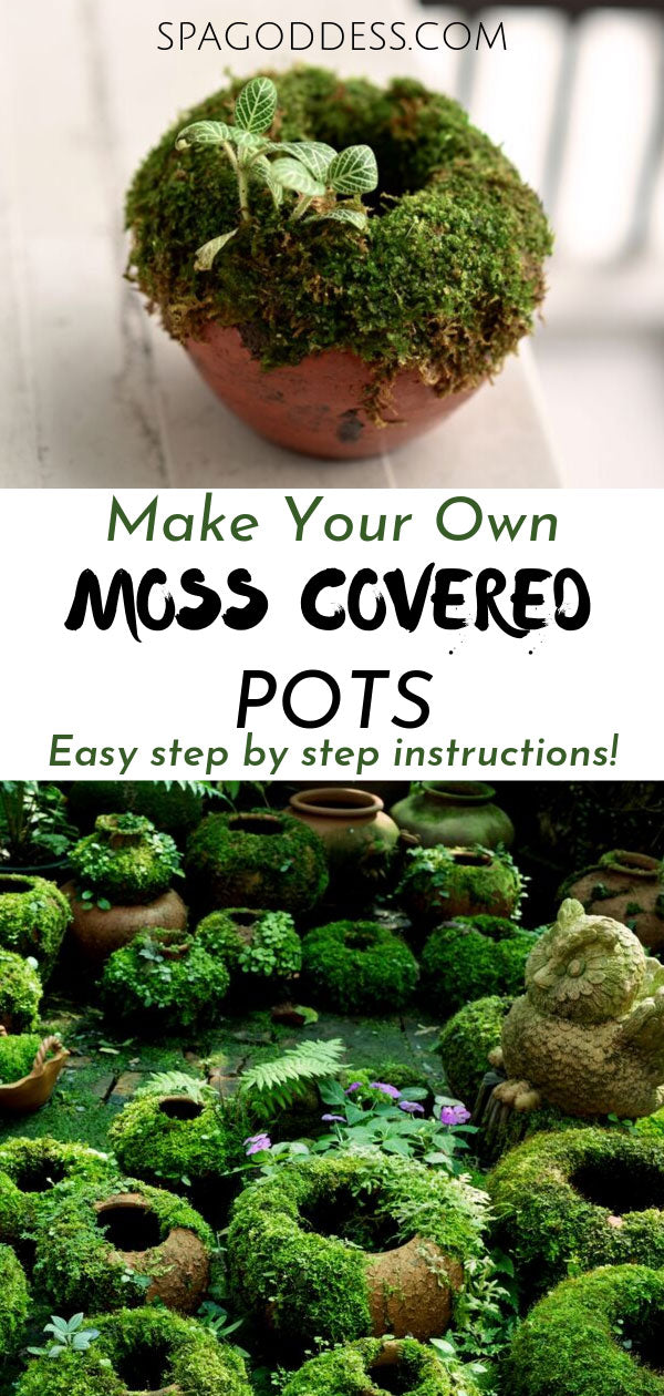 How To Make Moss Pots | SpaGoddess Apothecary - Click through to learn how to make moss pots for your home & garden. | moss garden | moss garden outdoor | eco friendly living diy | moss pot ideas | how to grow green moss pots | beautiful diy nature ideas | house plant ideas | diy plant decor ideas | diy plant decor tutorials | green living crafts | moss potted plants | moss pot centerpiece | diy plant pots recycled | how to make diy plant pots #diy #shadegarden #houseplants #gardeningprojects