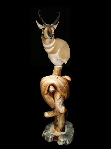 pedestal art taxidermy mount