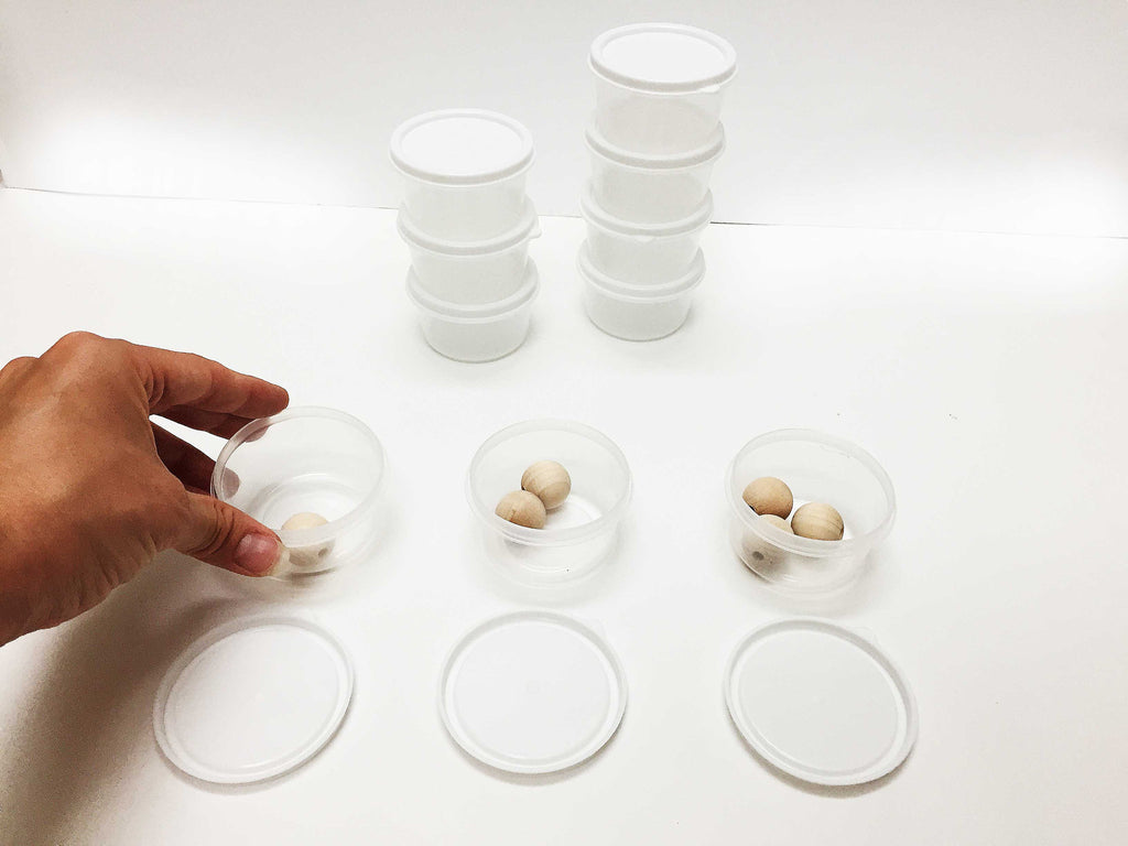 Mini plastic containers with lids, 10 ct. – AlenaSani