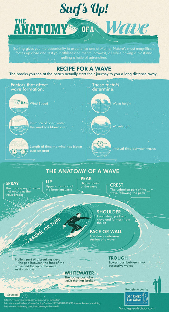 graphic of wave anatomy