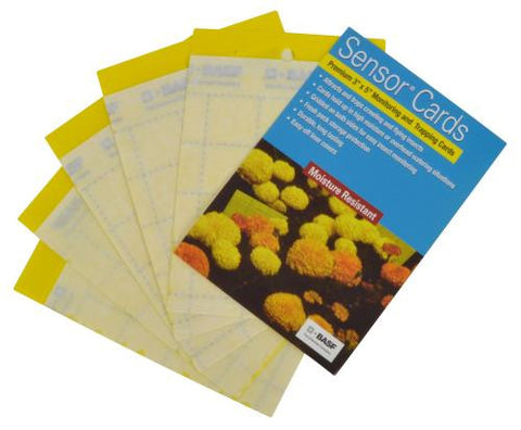 Sensor Yellow Pest Monitoring Trapping Cards