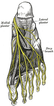 plantar digital nerve pain