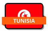 Tunisia State Flags Stickers