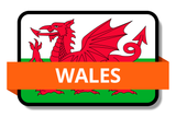 Wales State Flags Stickers