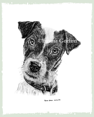 charcoal-portrait-jack-russell