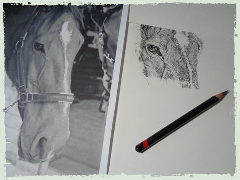 charcoal-portrait-danny-horse-3