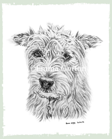 charcoal-portrait-terrier-5