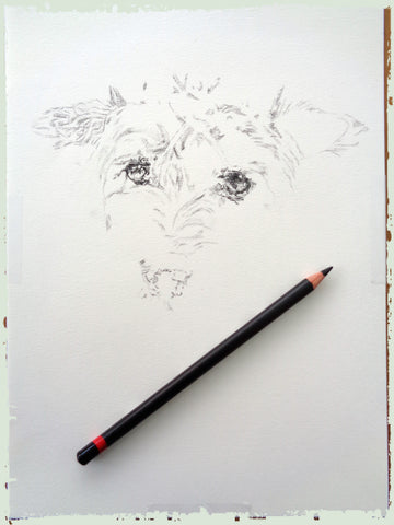charcoal-portrait-terrier-2