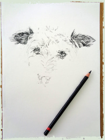 charcoal-portrait-terrier-3