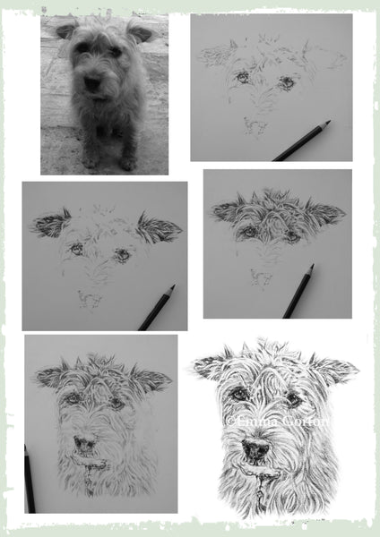 charcoal-portrait-terrier-1