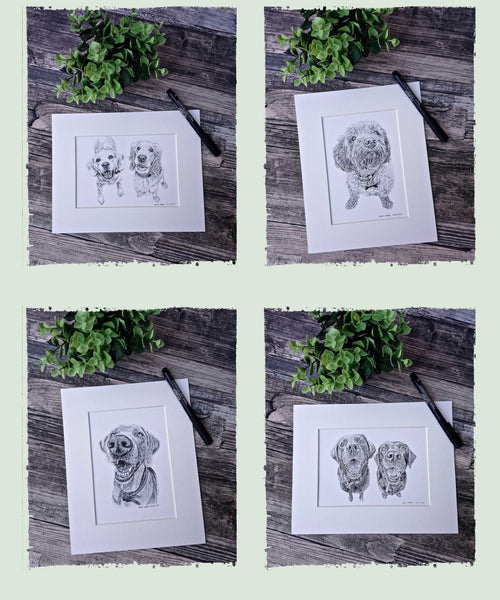 charcoal-pet-portrait-sketches