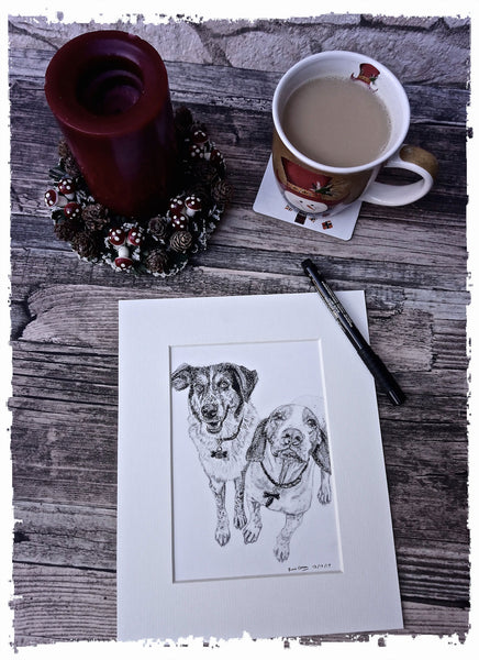 charcoal-portrait-basset-hound-border-collie-11