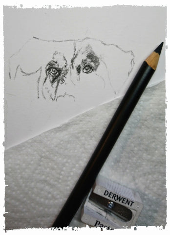 charcoal-portrait-basset-hound-border-collie-6