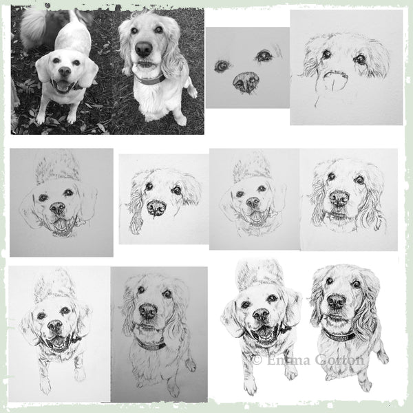 charcoal-portrait-beagle-retriever-max-milo