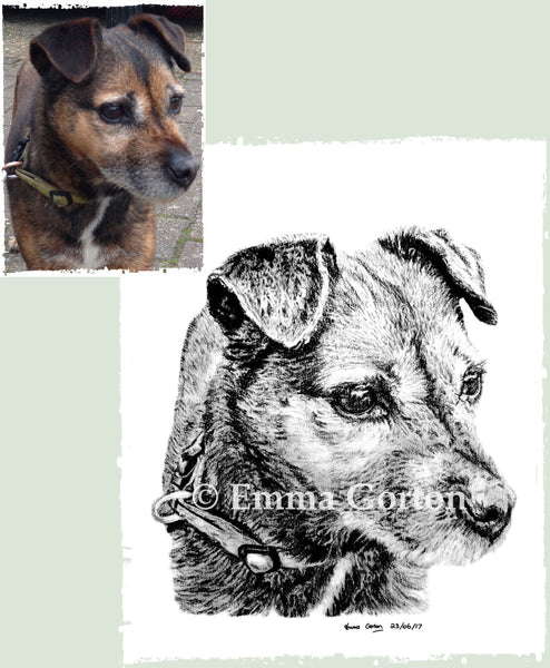 charcoal-portrait-border-terrier-2