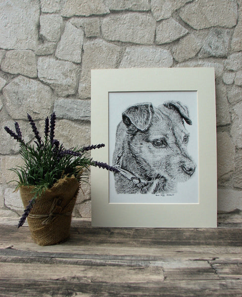 charcoal-portrait-border-terrier-3