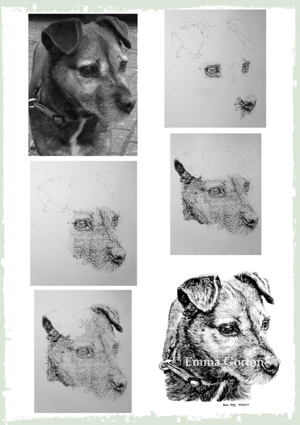 charcoal-portrait-border-terrier