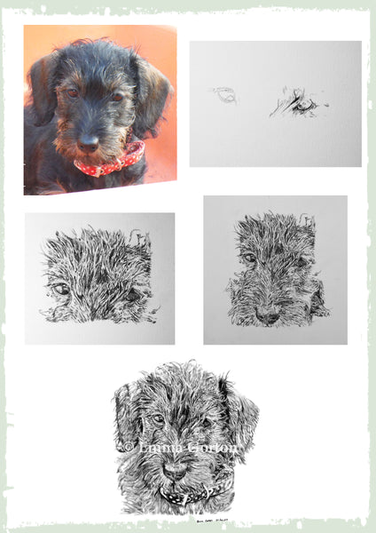 charcoal-portrait-mable-terrier-5