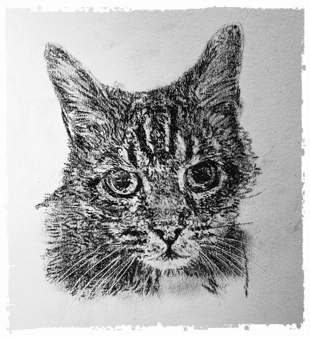 charcoal-portrait-mickey-cat-2